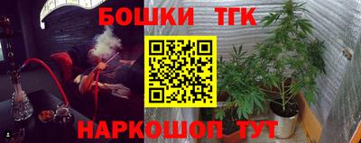прущие грибы Пыть-Ях