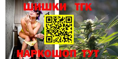 индика Пенза