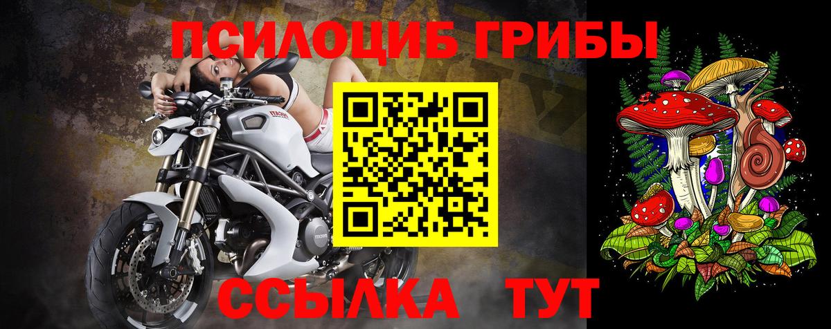 Псилоцибиновые грибы Cubensis  Вход с VPN  Реутов  Псилоцибиновые грибы GOLDEN TEACHER 